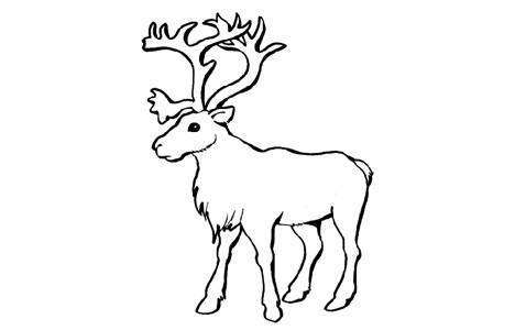 coloring pages for kids animals. African animals coloring pages